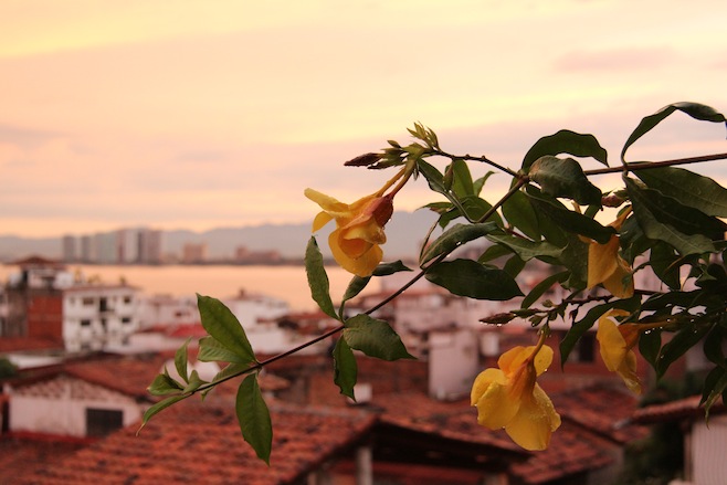 Puerto Vallarta